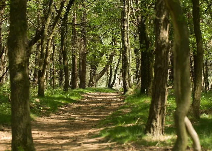 Benb-hollandsingel * Waalwijk