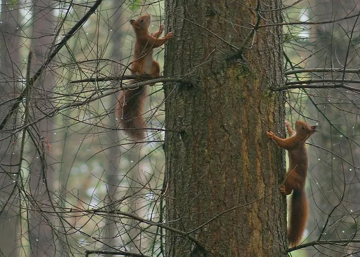 Benb-hollandsingel Hébergement de vacances Waalwijk
